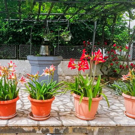 Apartman Lavanda Sa Bazenom I Okucnicom 4* Hreljin Luaran gambar