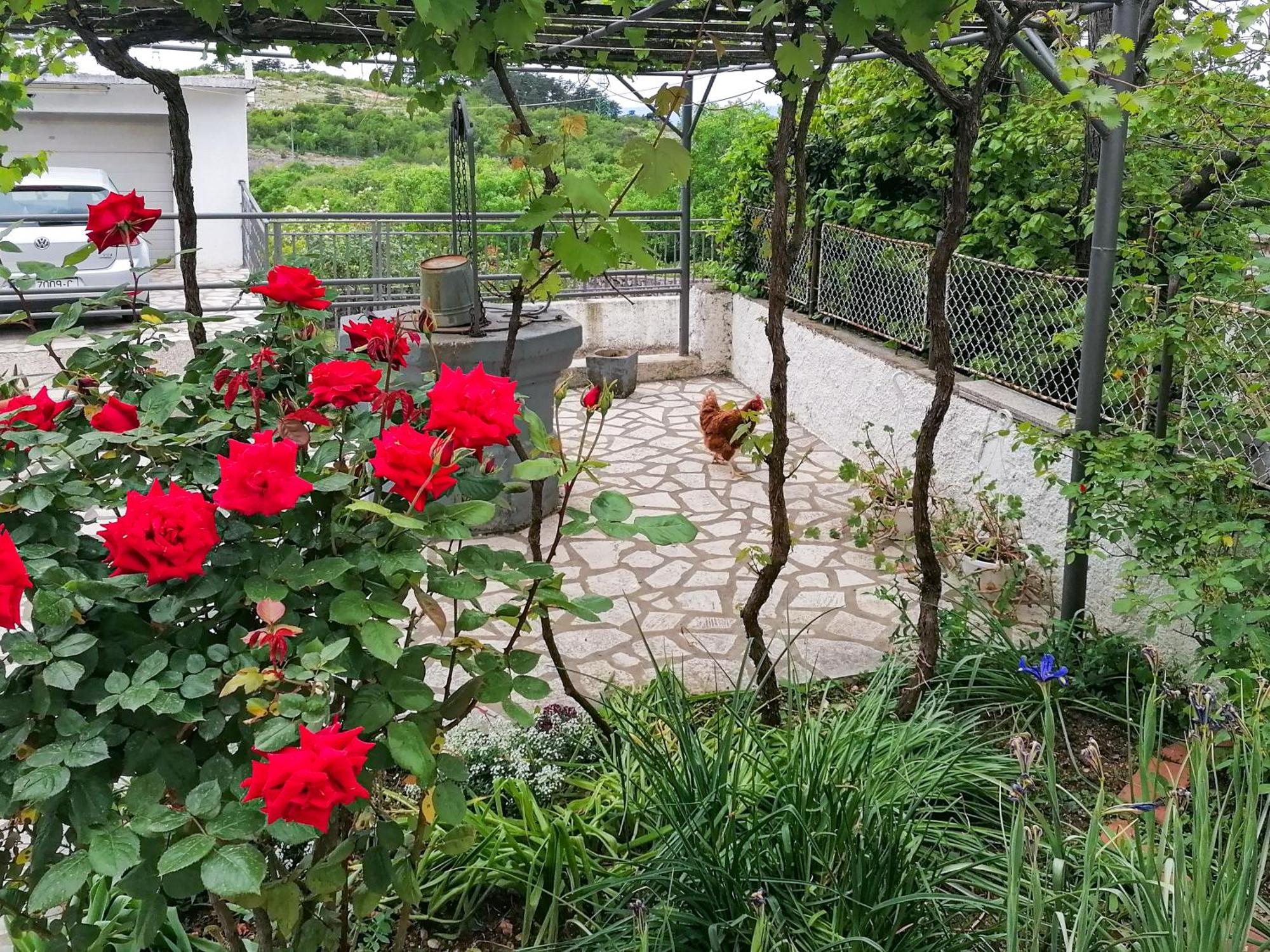 Apartman Lavanda Sa Bazenom I Okucnicom 4* Hreljin Luaran gambar