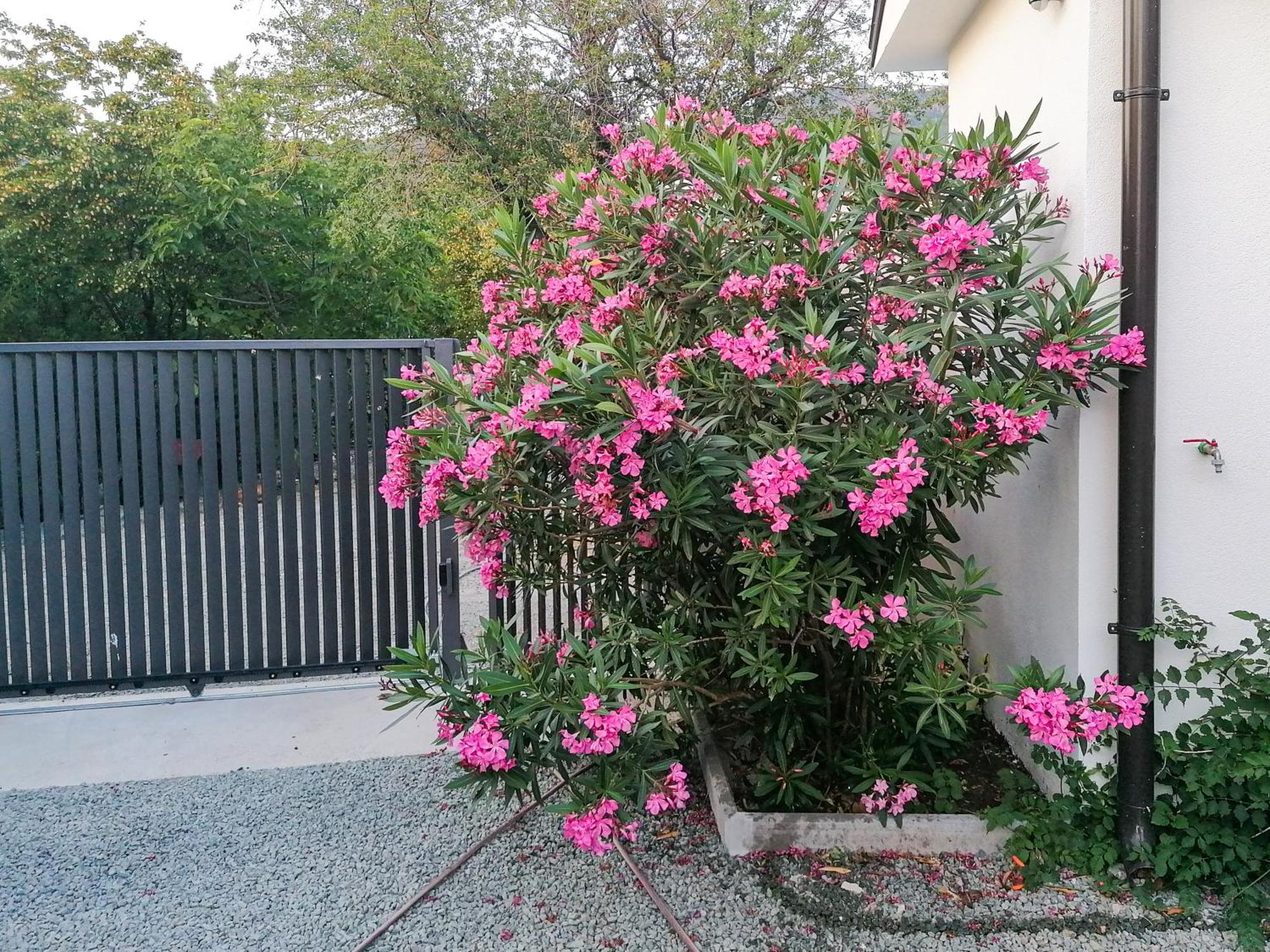 Apartman Lavanda Sa Bazenom I Okucnicom 4* Hreljin Luaran gambar