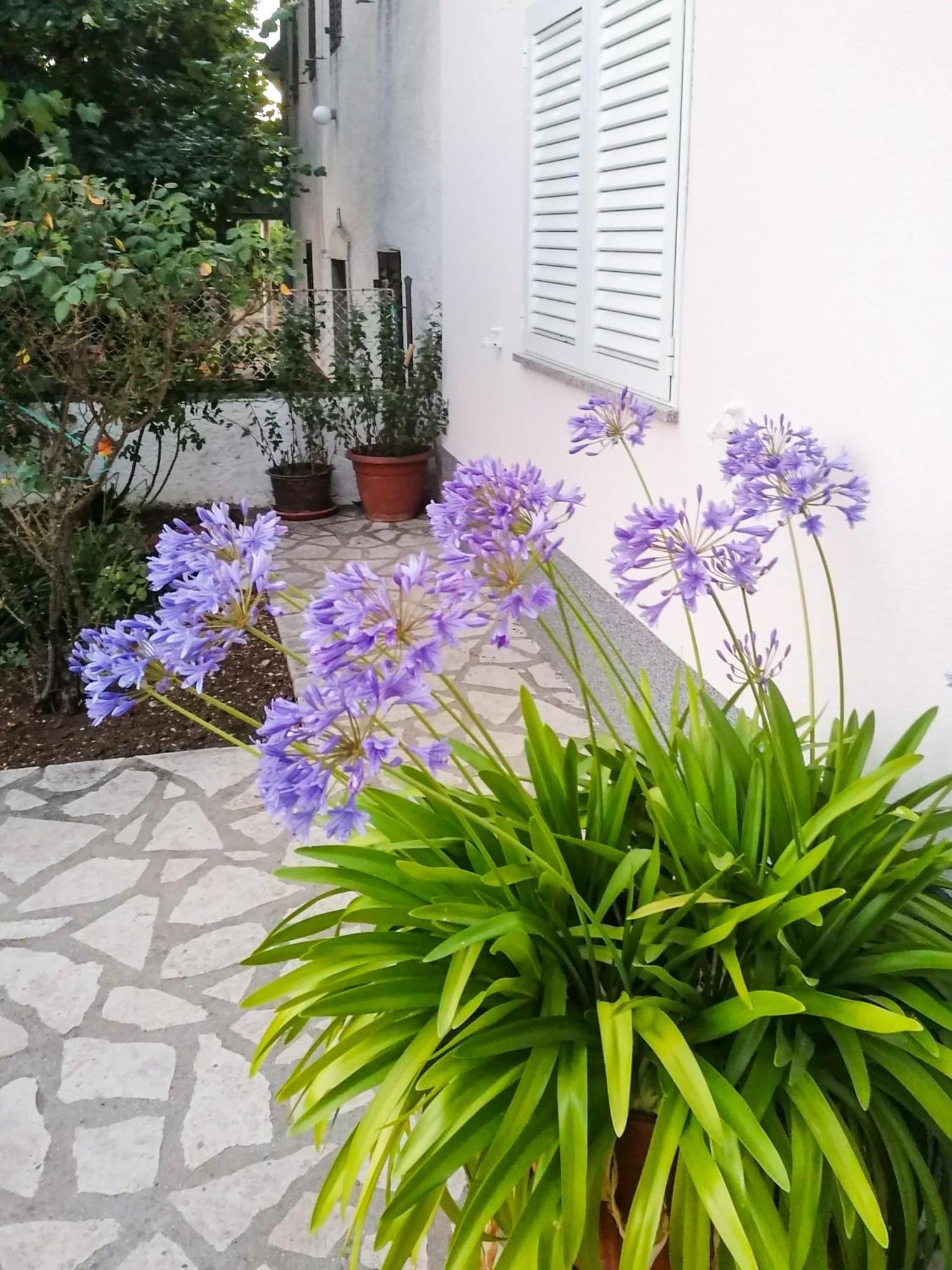 Apartman Lavanda Sa Bazenom I Okucnicom 4* Hreljin Luaran gambar